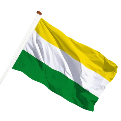 transparent background