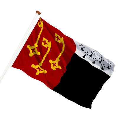 transparent background