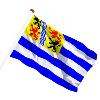 transparent background