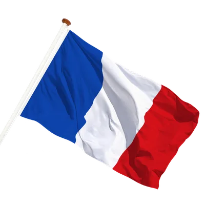 transparent background