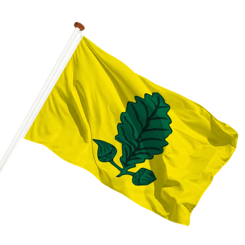 Flag of Heusden-Zolder