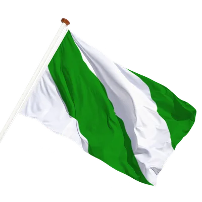 transparent background