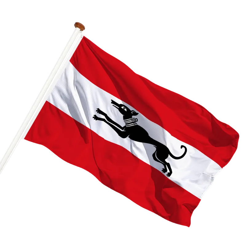 Flag of Damme
