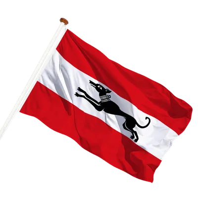 transparent background