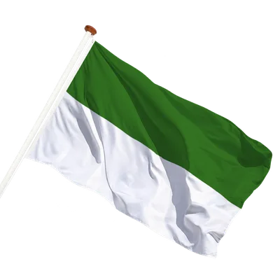 transparent background