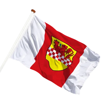 transparent background
