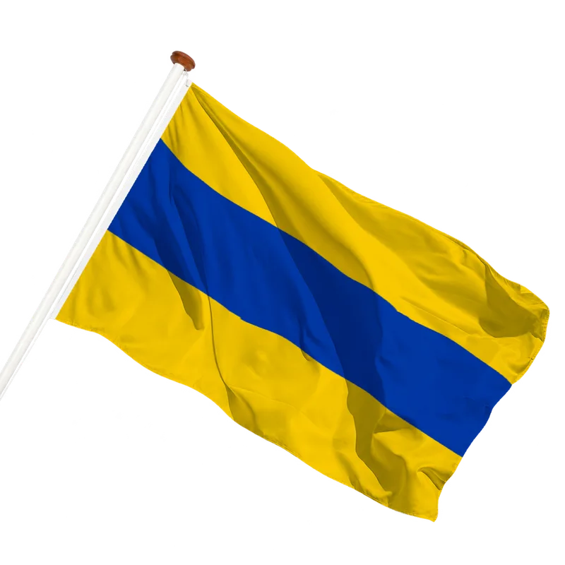 Flag of Lisse