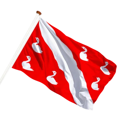 transparent background