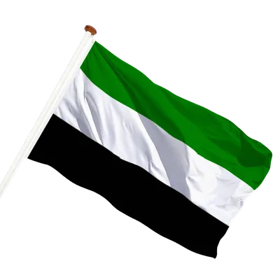 transparent background