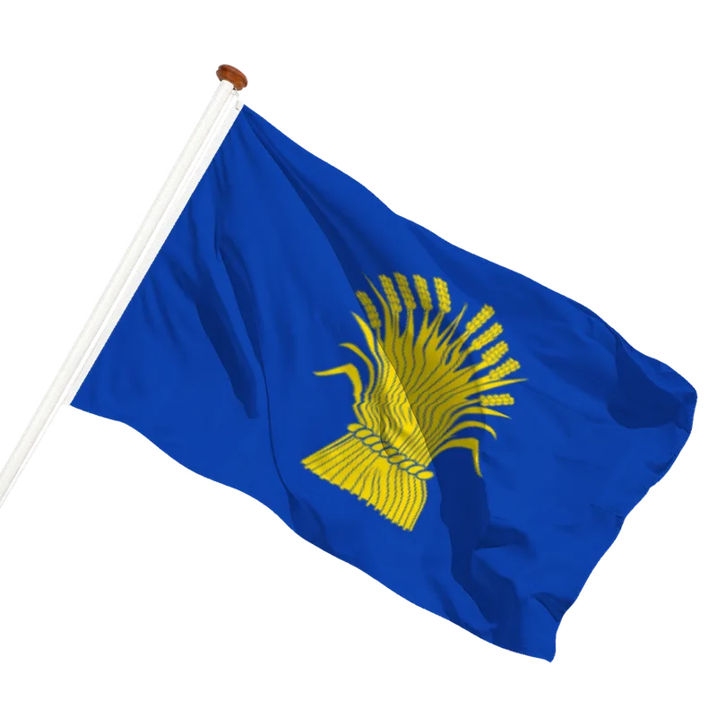 Flag of Reusel