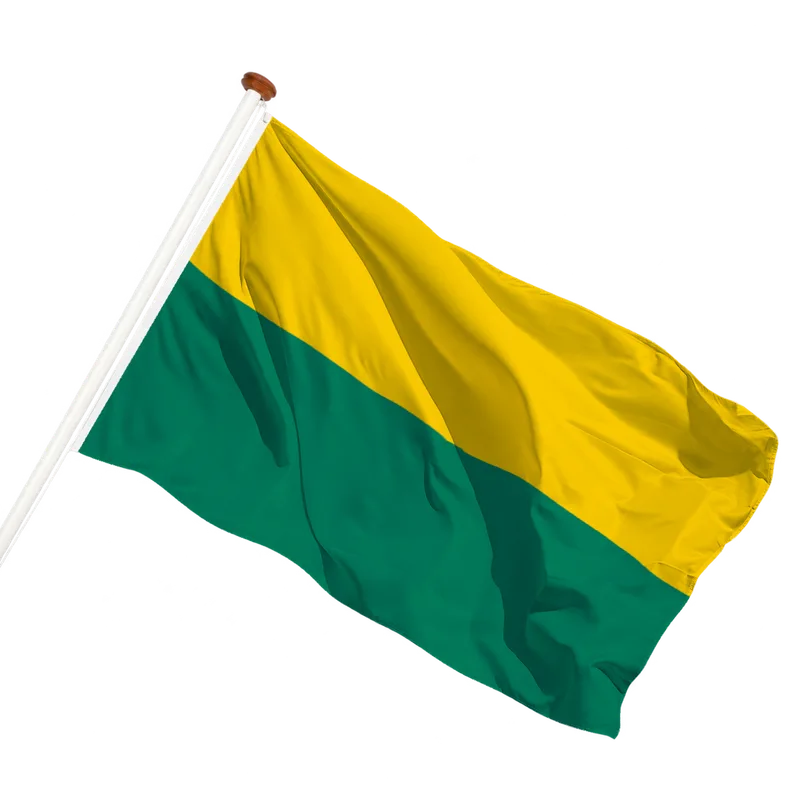 Vlag van Den Haag