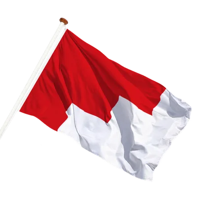 transparent background