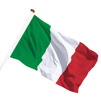 transparent background