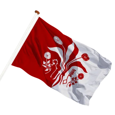 transparent background