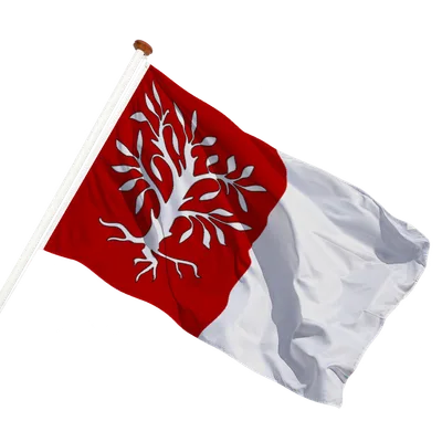 transparent background