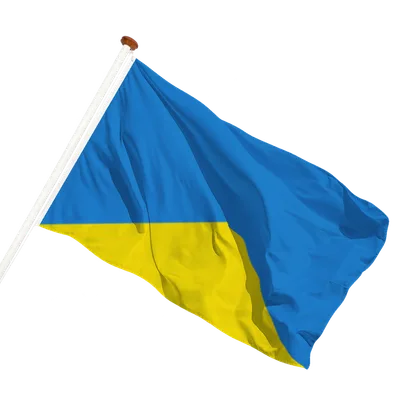 transparent background