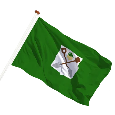 transparent background