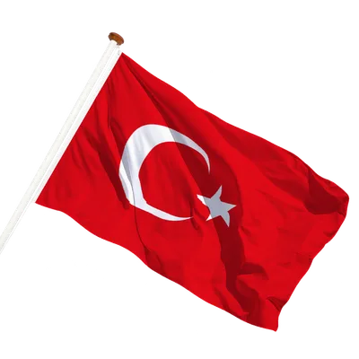 transparent background