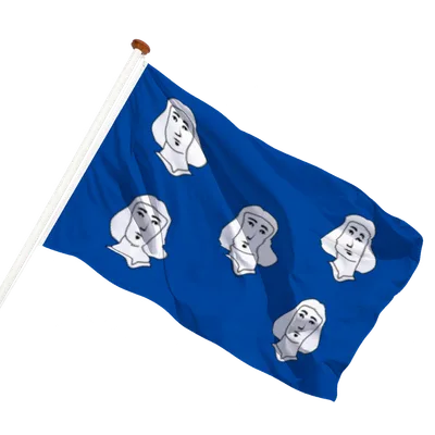 transparent background