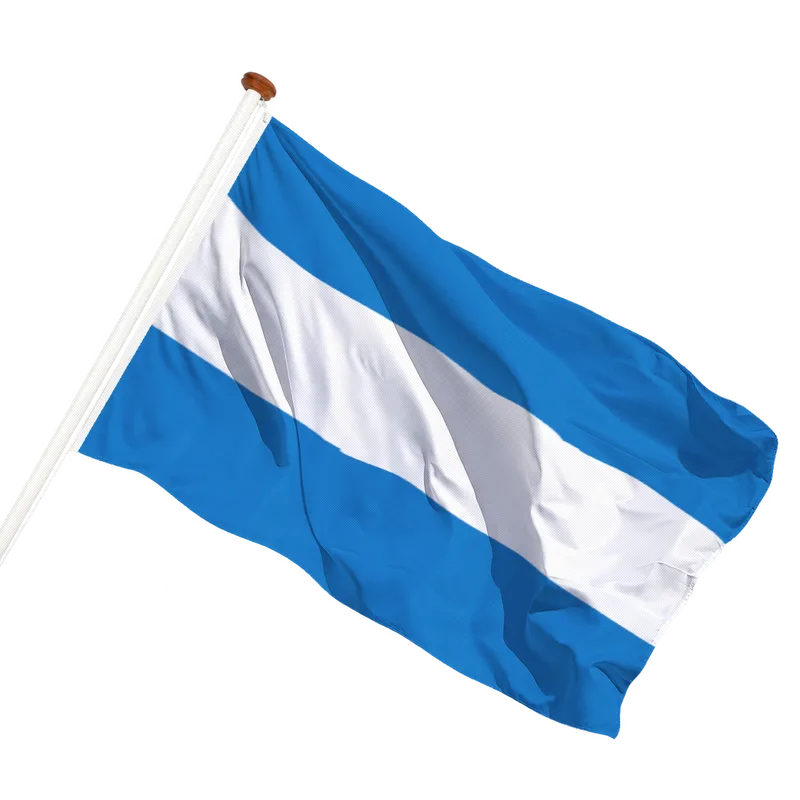Flag of Tienen