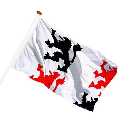 transparent background