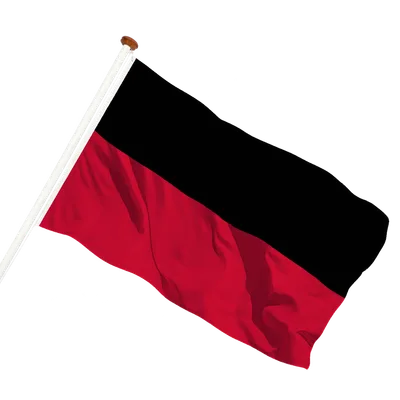 transparent background