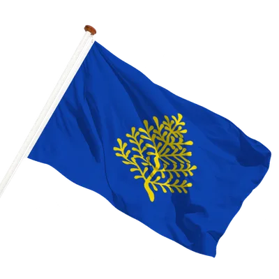 transparent background