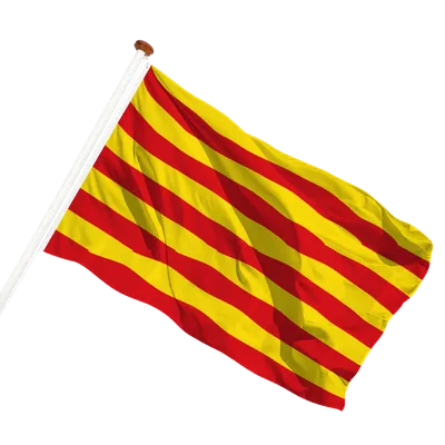 transparent background