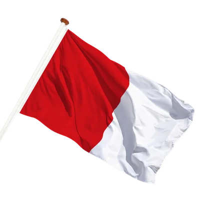 transparent background