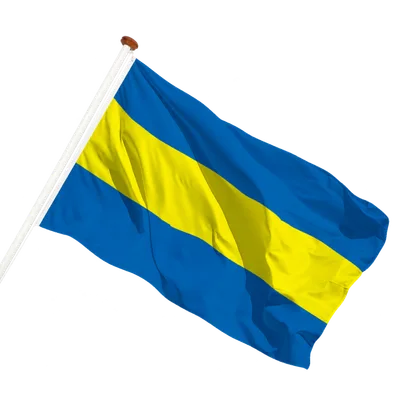 transparent background