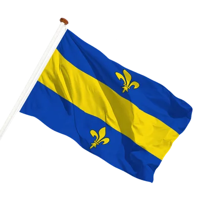 transparent background