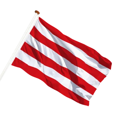 transparent background