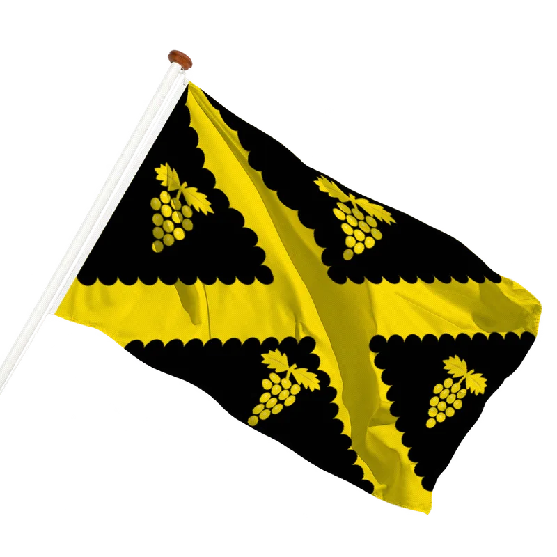 Flag of Wijnegem