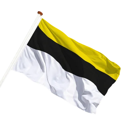 transparent background