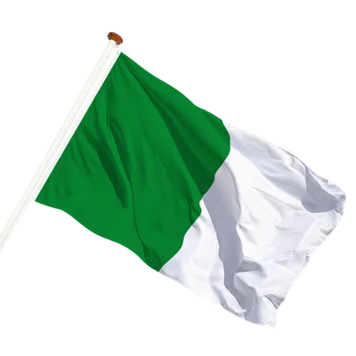 transparent background