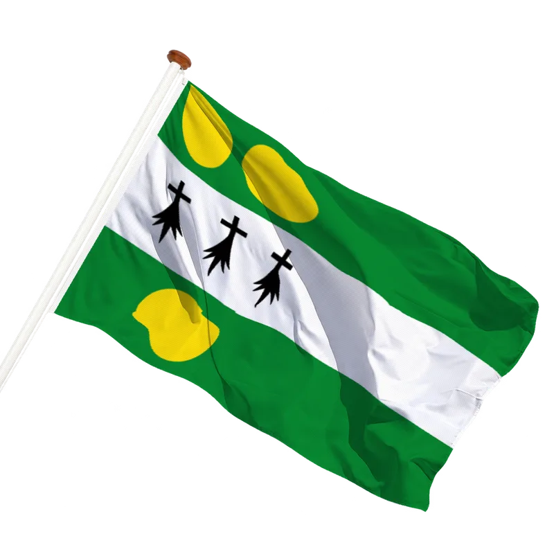 Flag of Anthisnes