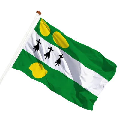 transparent background