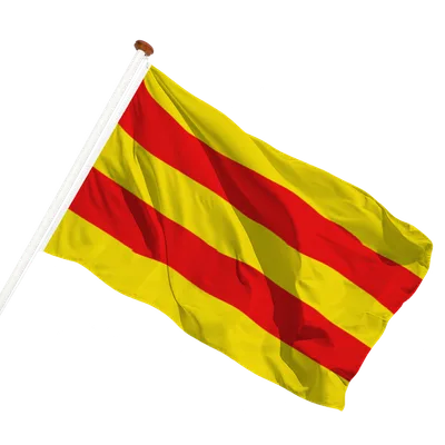 transparent background
