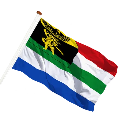 transparent background
