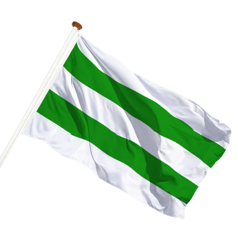 Flag of Hasselt