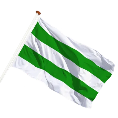 transparent background