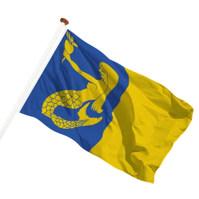 transparent background