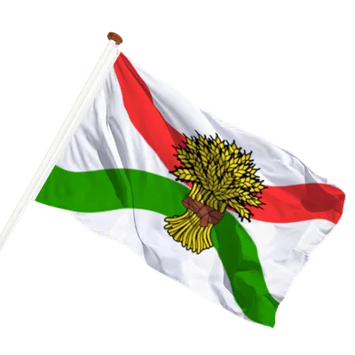 transparent background