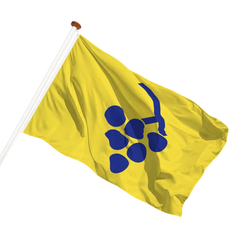 Flag of Overijse
