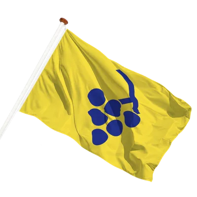 transparent background