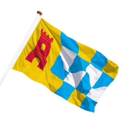transparent background