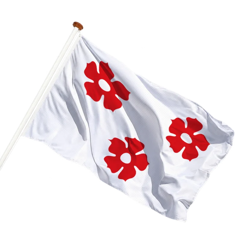 Flag of Ardooie