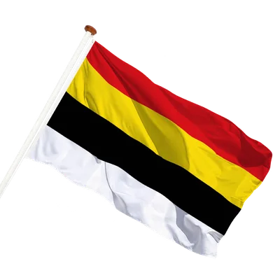transparent background