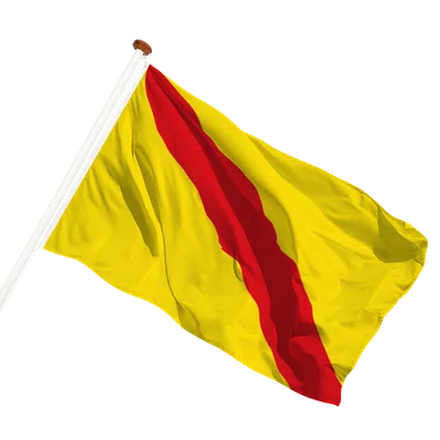 transparent background