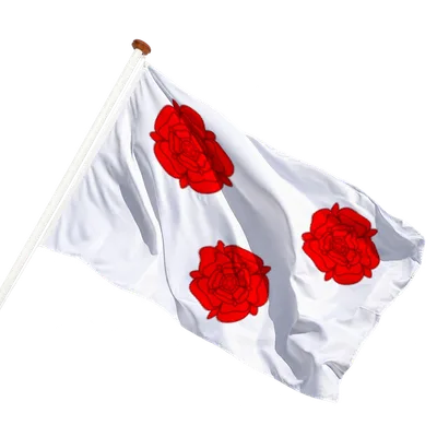 transparent background